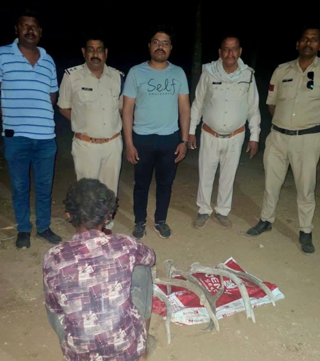 नरसिंगपुर   🦌 सांभर के सींगों की तस्करी का भंडाफोड़:  पुलिस की बड़ी कार्रवाई