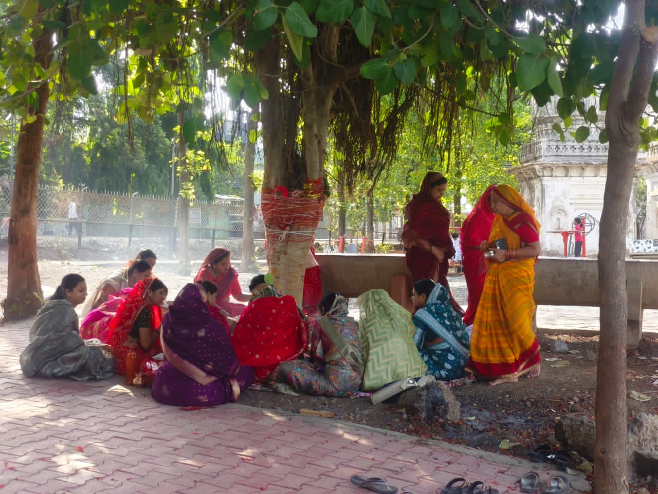 गाडरवारा वट सावित्री व्रत पर मातृशक्ति ने की पूजन अर्चना   गाडरवारा। शनिवार को ज्येष्ठ अमावस्या के पावन अवसर पर महिलाओ ने वट सावित्री व्रत रखकर वट वृक्ष की पूजन अर्चना की...